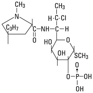 Clindamycin Phosphate